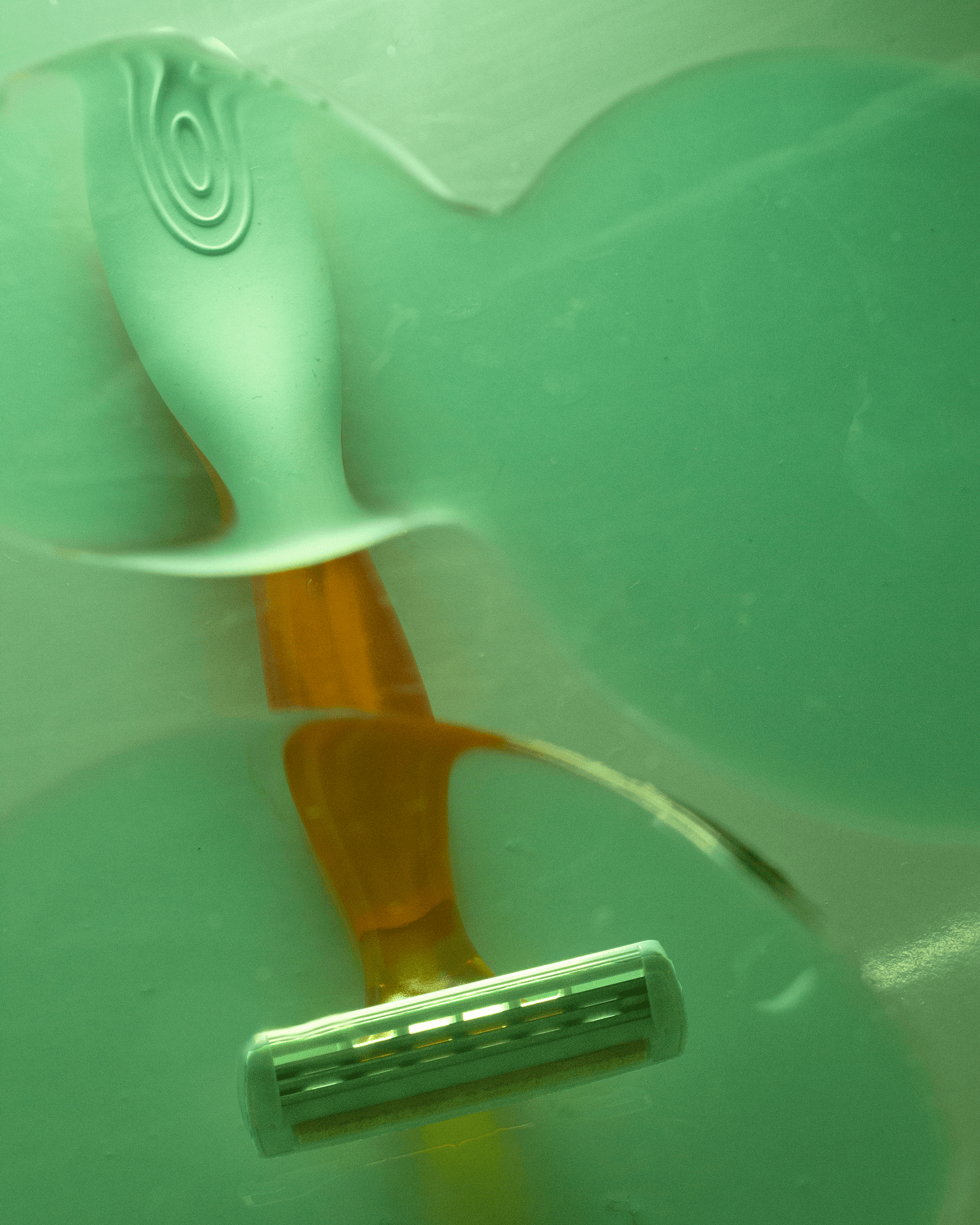 Photography - Still Life — detail 4